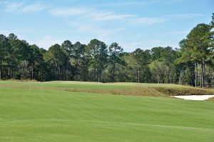 Tree Farm 2nd Approach